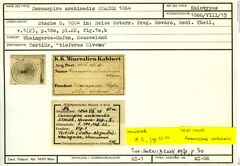 Karteikarte zum Holotyp von Cornuspira archimedis Stache, 1864